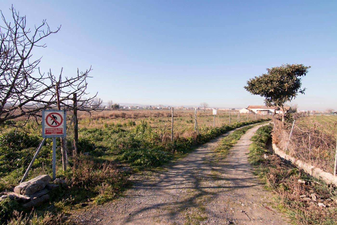 Finca/Casa Rural en Granada ciudad en venta - 56.000 € (Ref: 9534281)