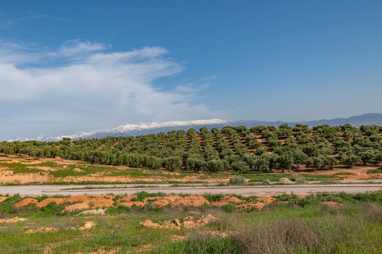 Terrain à Bâtir à vendre à Albolote - 170 000 € (Ref: 9534284)