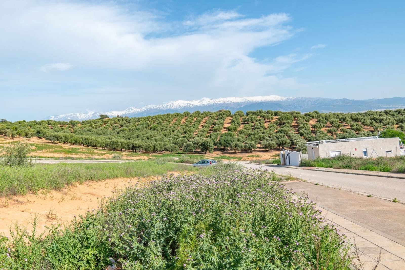 Terrain à Bâtir à vendre à Albolote - 170 000 € (Ref: 9534284)