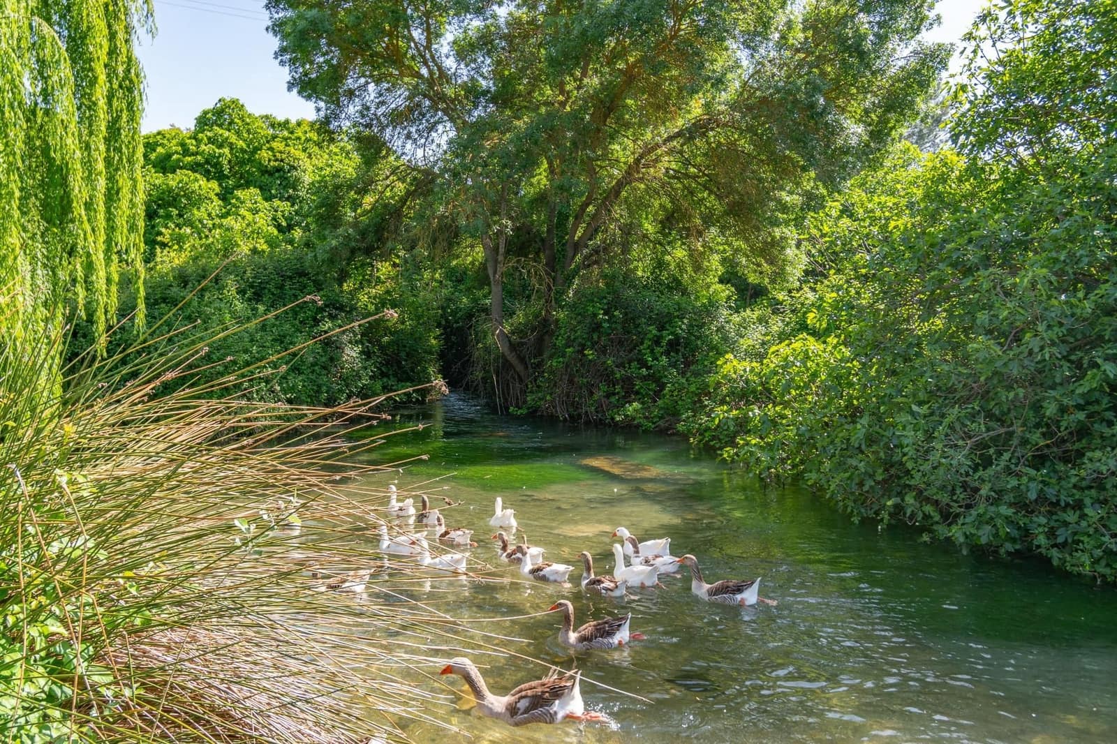 6 soverom Finca/Herregård til salgs i Loja - € 87 000 (Ref: 9534285)