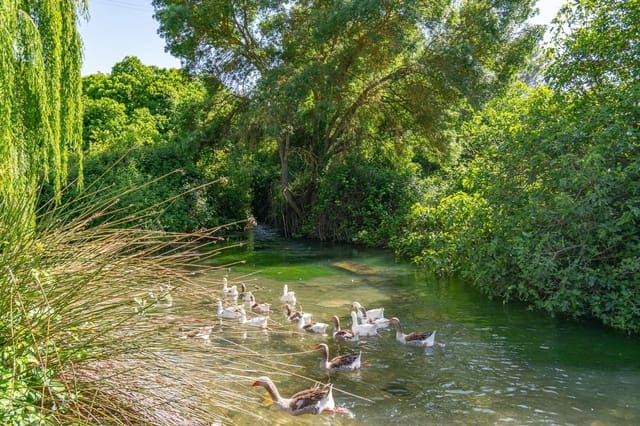 6 soverom Finca/Herregård til salgs i Riofrío, Loja - € 87 000 (Ref: 9534285)