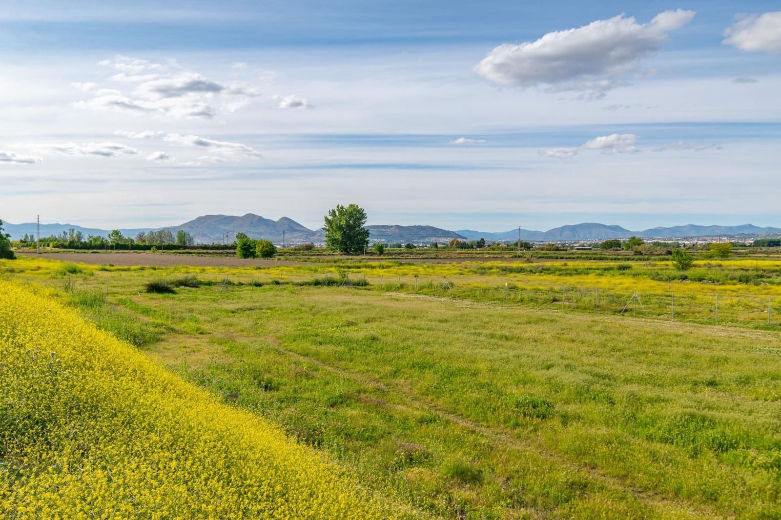 Finca/Casa Rural en Granada ciudad en venta - 76.500 € (Ref: 9534287)