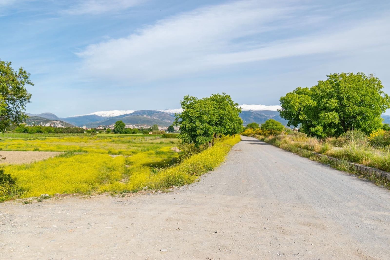 Finca/Casa Rural en Granada ciudad en venta - 76.500 € (Ref: 9534287)