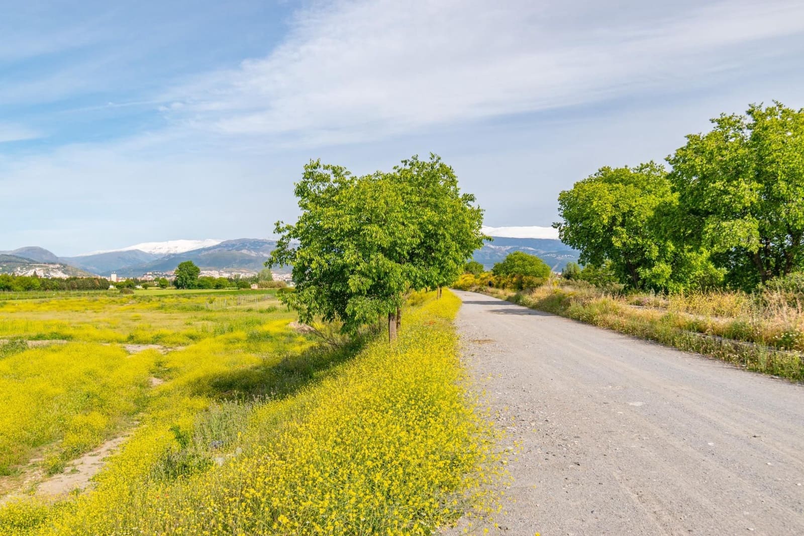Finca/Casa Rural en Granada ciudad en venta - 76.500 € (Ref: 9534287)