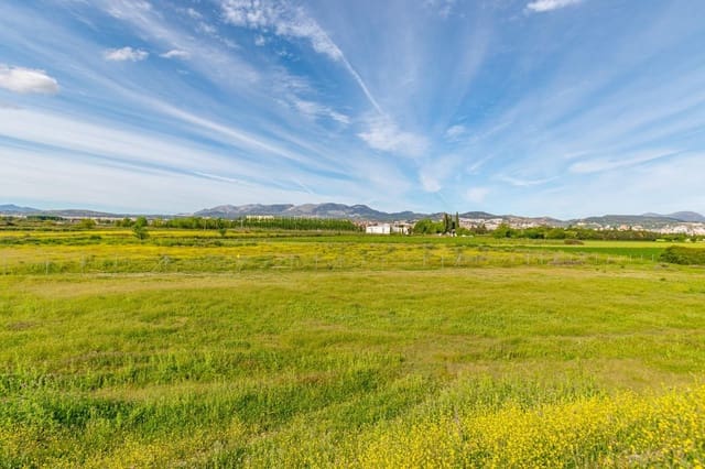 Finca/Casa Rural en Pedanias de Granada, Granada ciudad en venta - 76.500 € (Ref: 9534287)