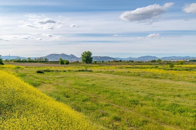Finca/Casa Rural en Pedanias de Granada, Granada ciudad en venta - 76.500 € (Ref: 9534287)