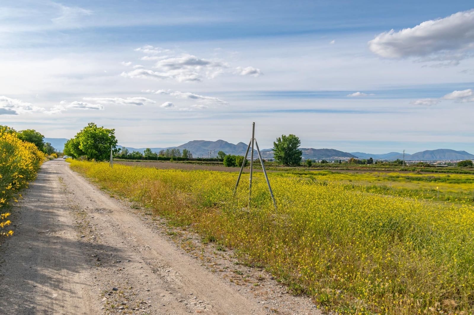 Finca/Casa Rural en Granada ciudad en venta - 76.500 € (Ref: 9534287)