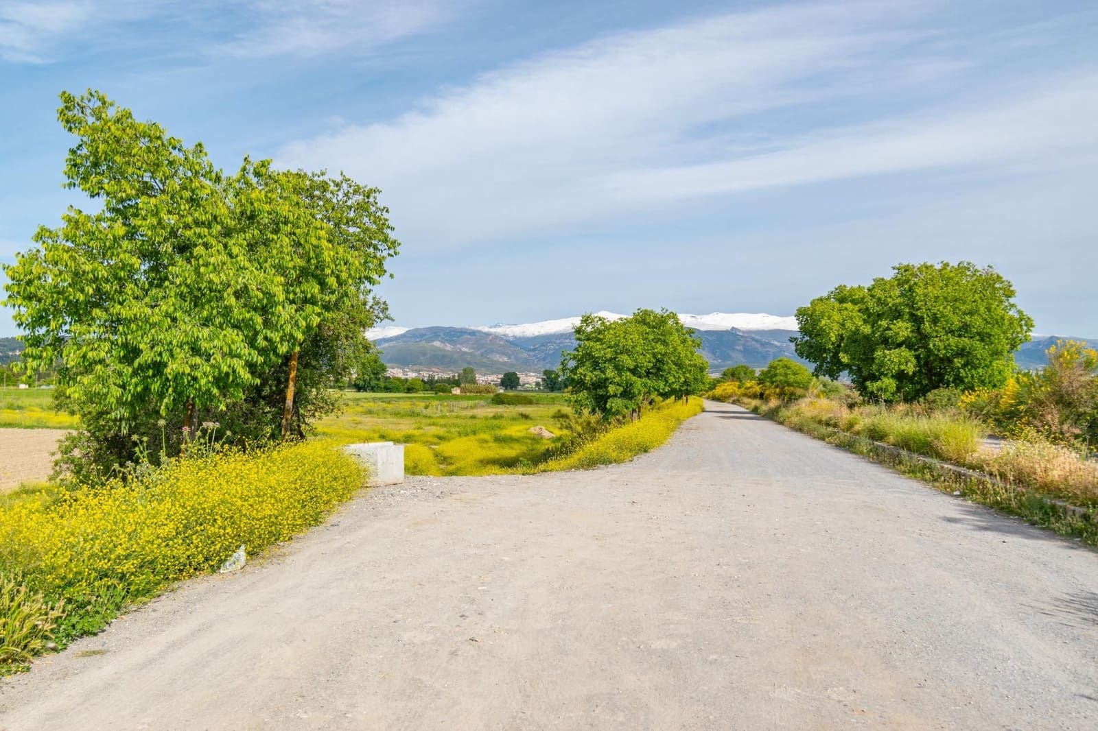 Finca/Casa Rural en Granada ciudad en venta - 76.500 € (Ref: 9534287)