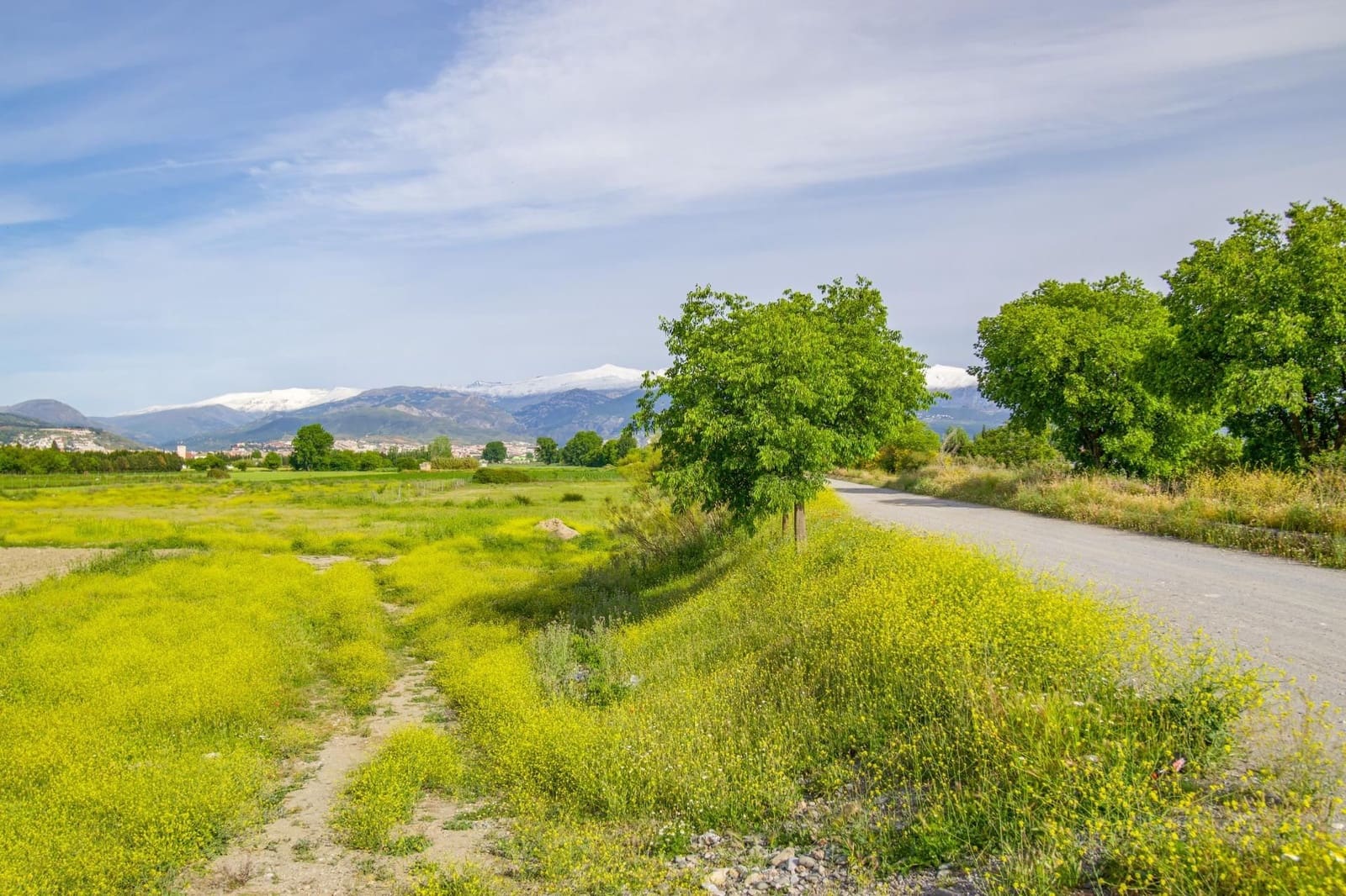 Finca/Casa Rural en Granada ciudad en venta - 76.500 € (Ref: 9534287)
