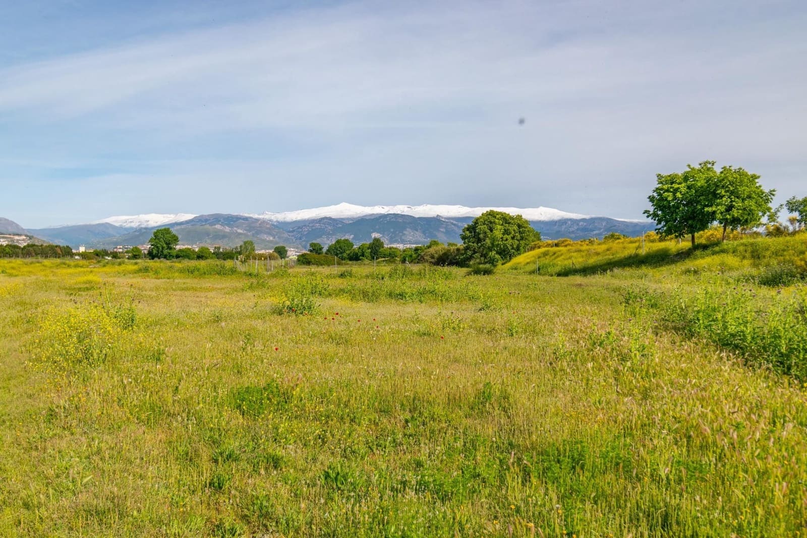 Finca/Casa Rural en Granada ciudad en venta - 76.500 € (Ref: 9534287)