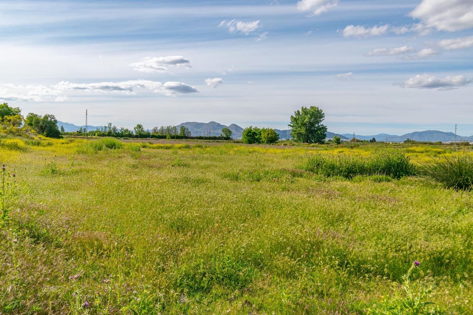 Finca/Casa Rural en Granada ciudad en venta - 76.500 € (Ref: 9534287)