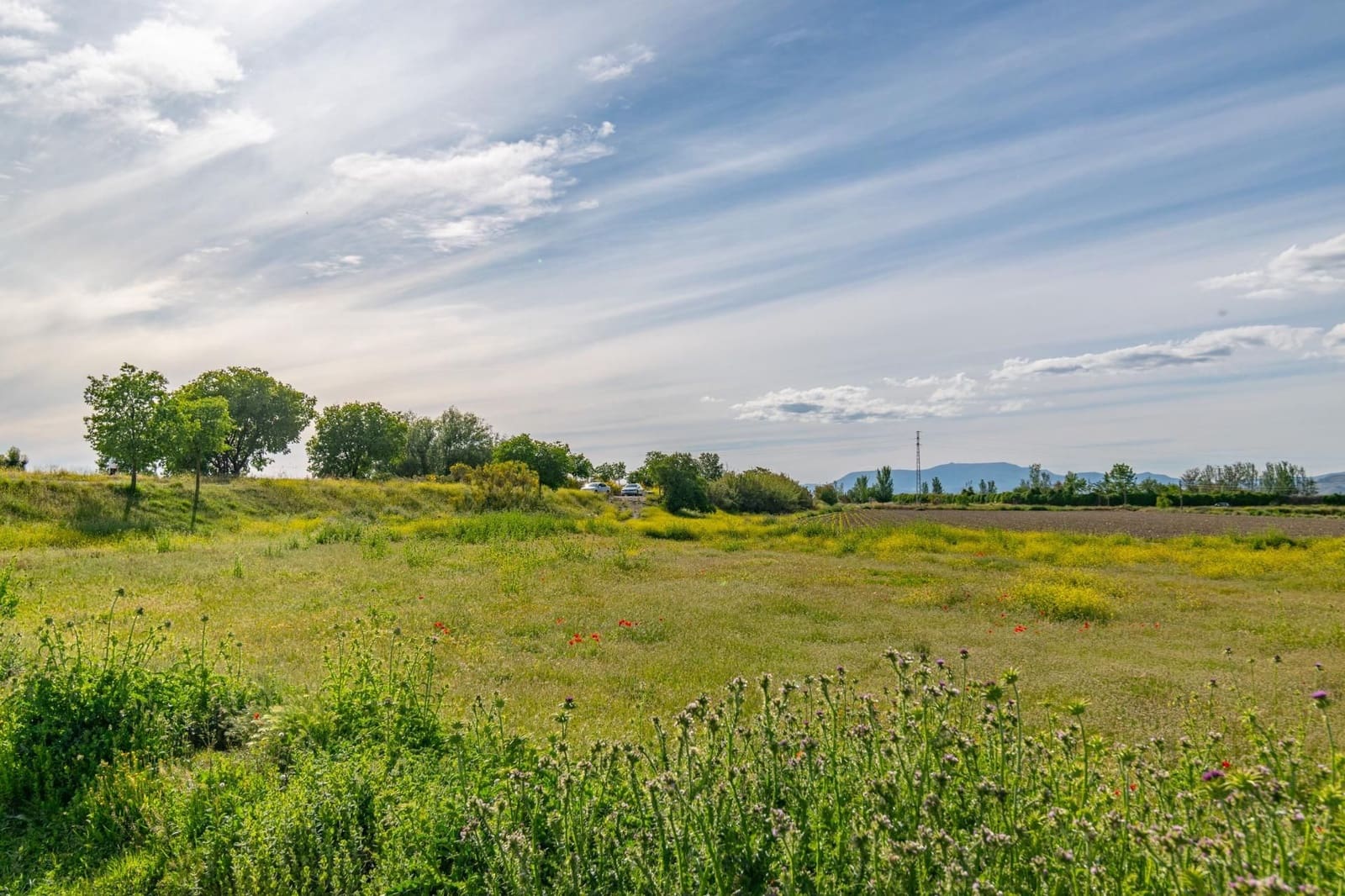 Finca/Casa Rural en Granada ciudad en venta - 76.500 € (Ref: 9534287)