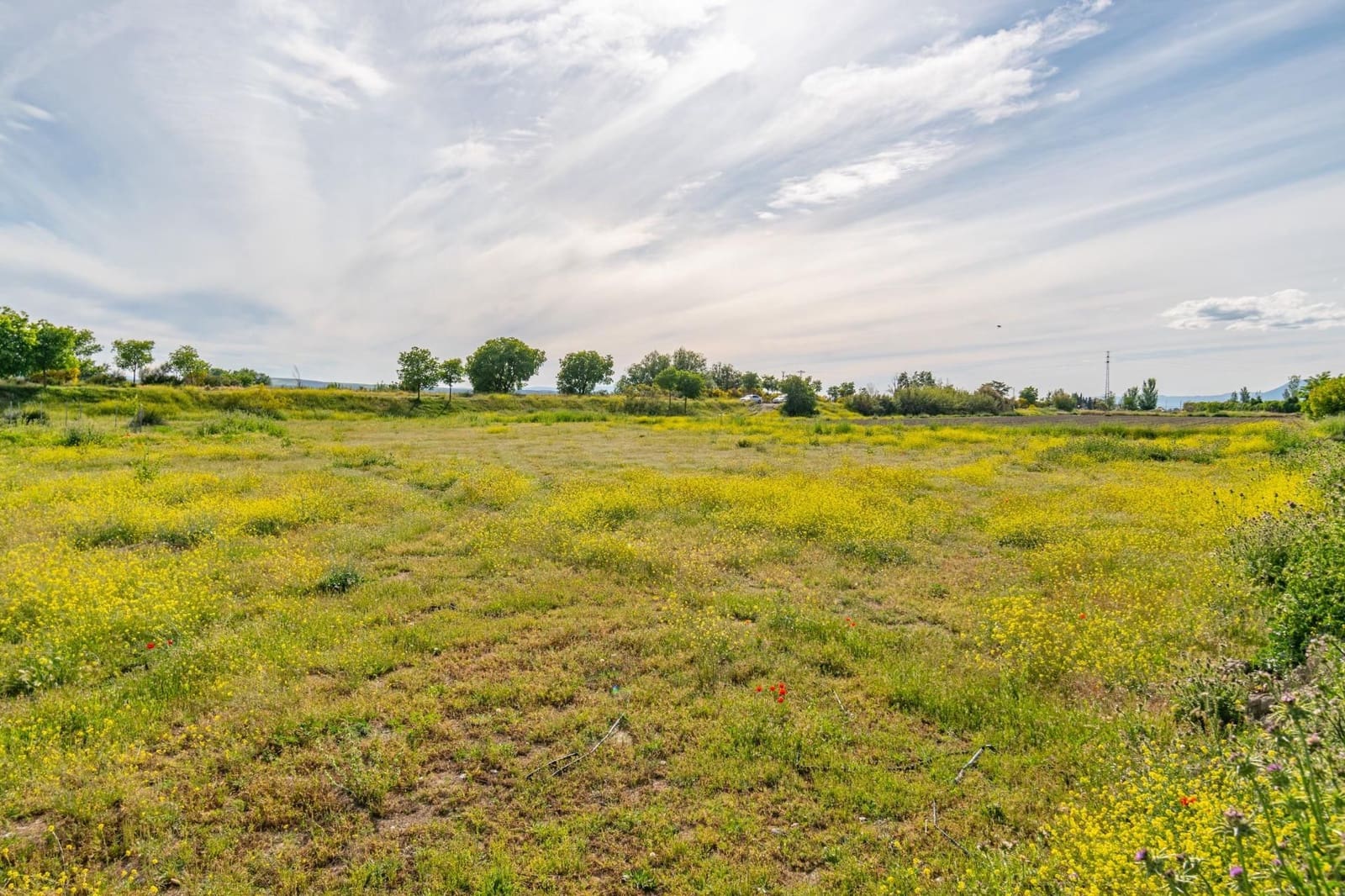 Finca/Casa Rural en Granada ciudad en venta - 76.500 € (Ref: 9534287)