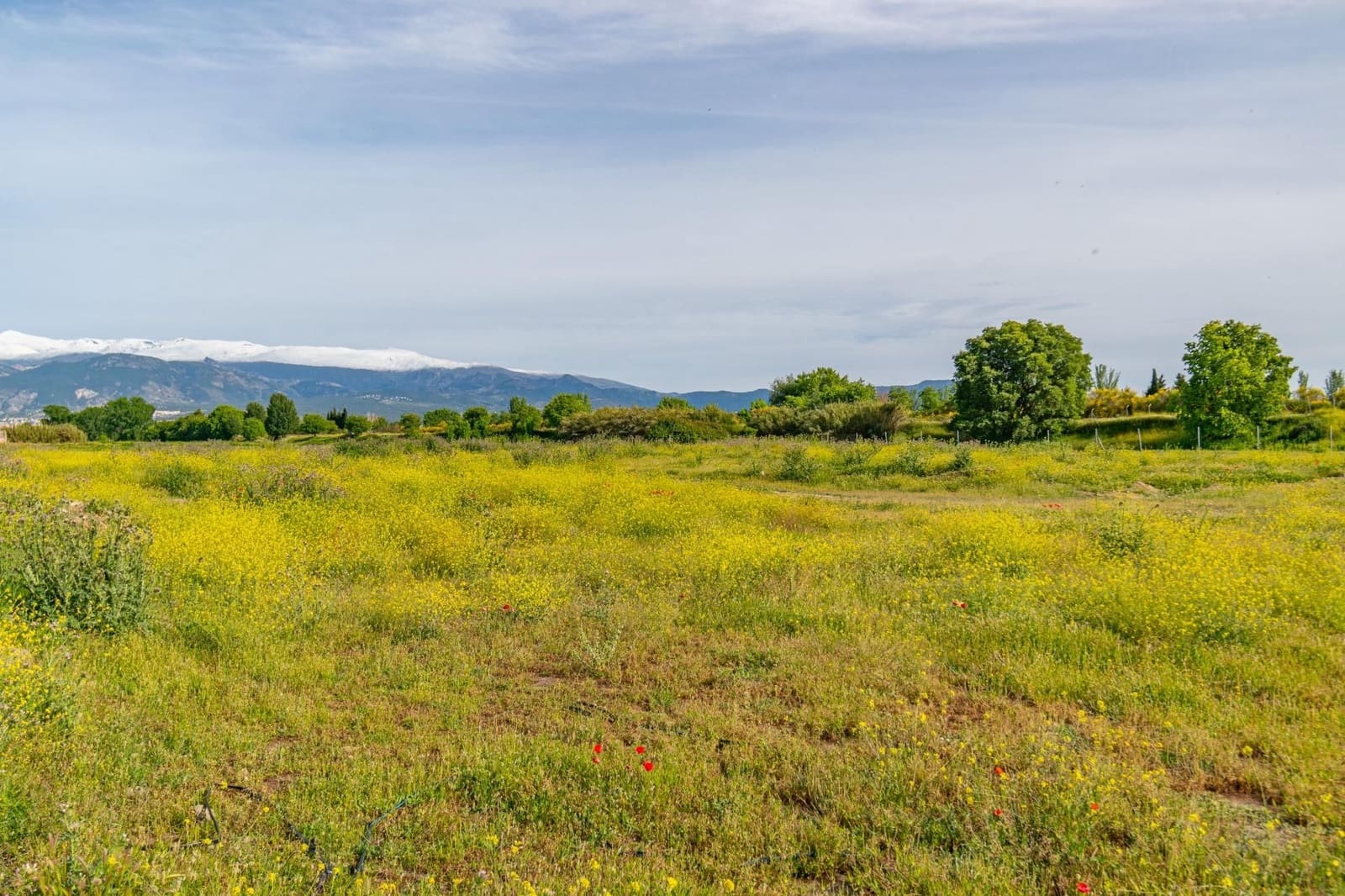 Finca/Casa Rural en Granada ciudad en venta - 76.500 € (Ref: 9534287)