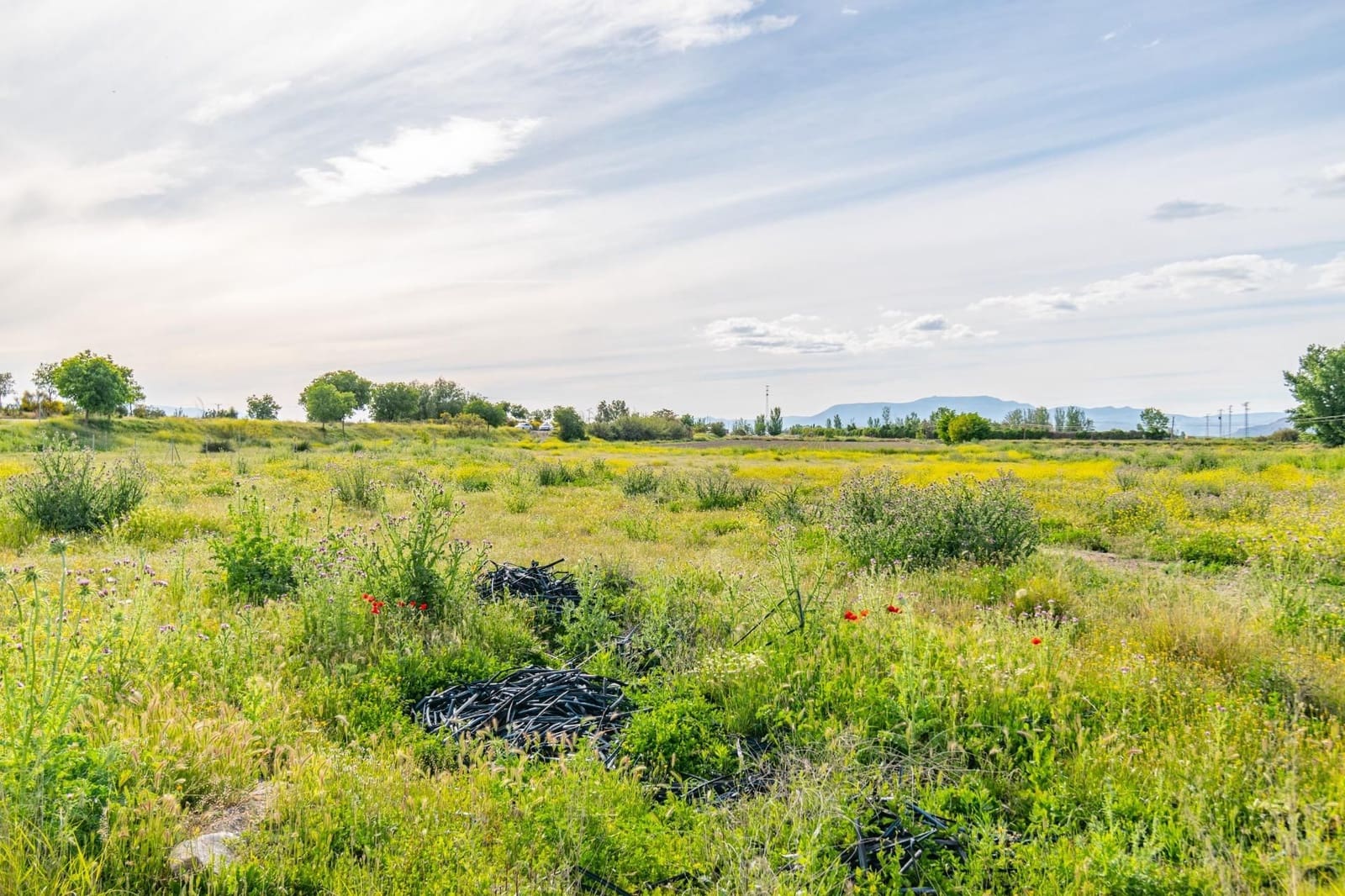 Finca/Casa Rural en Granada ciudad en venta - 76.500 € (Ref: 9534287)