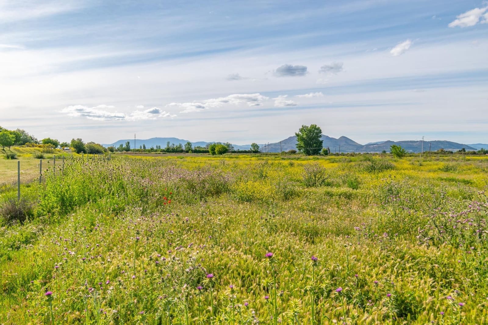 Finca/Casa Rural en Granada ciudad en venta - 76.500 € (Ref: 9534287)