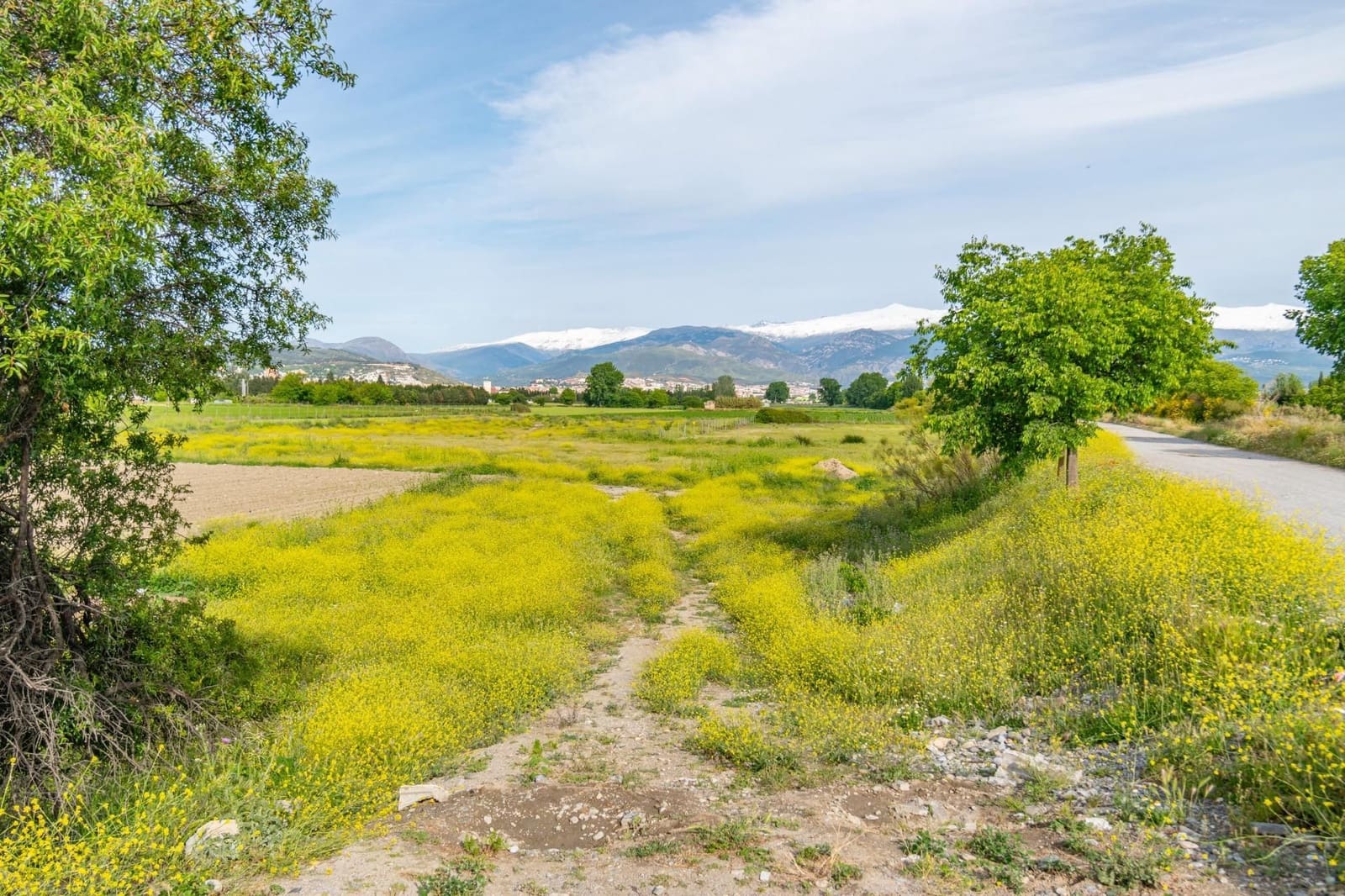 Finca/Casa Rural en Granada ciudad en venta - 76.500 € (Ref: 9534287)