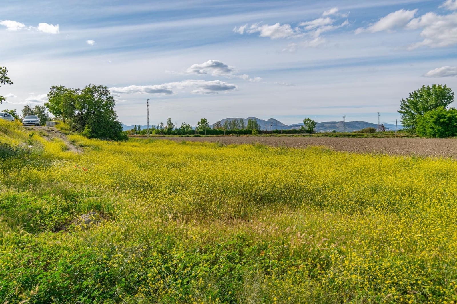 Finca/Casa Rural en Granada ciudad en venta - 76.500 € (Ref: 9534287)
