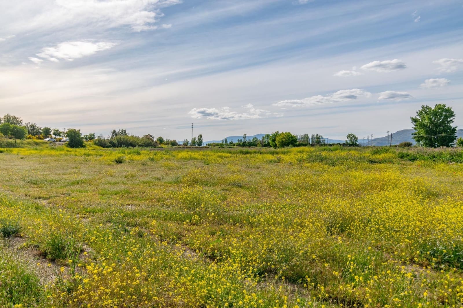 Finca/Casa Rural en Granada ciudad en venta - 76.500 € (Ref: 9534287)