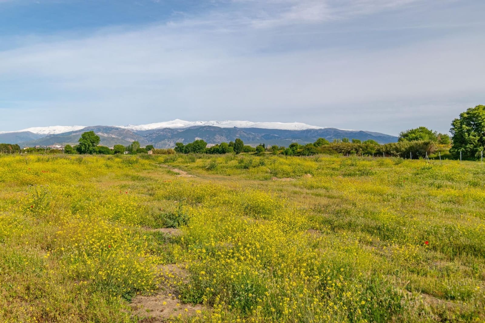 Finca/Casa Rural en Granada ciudad en venta - 76.500 € (Ref: 9534287)