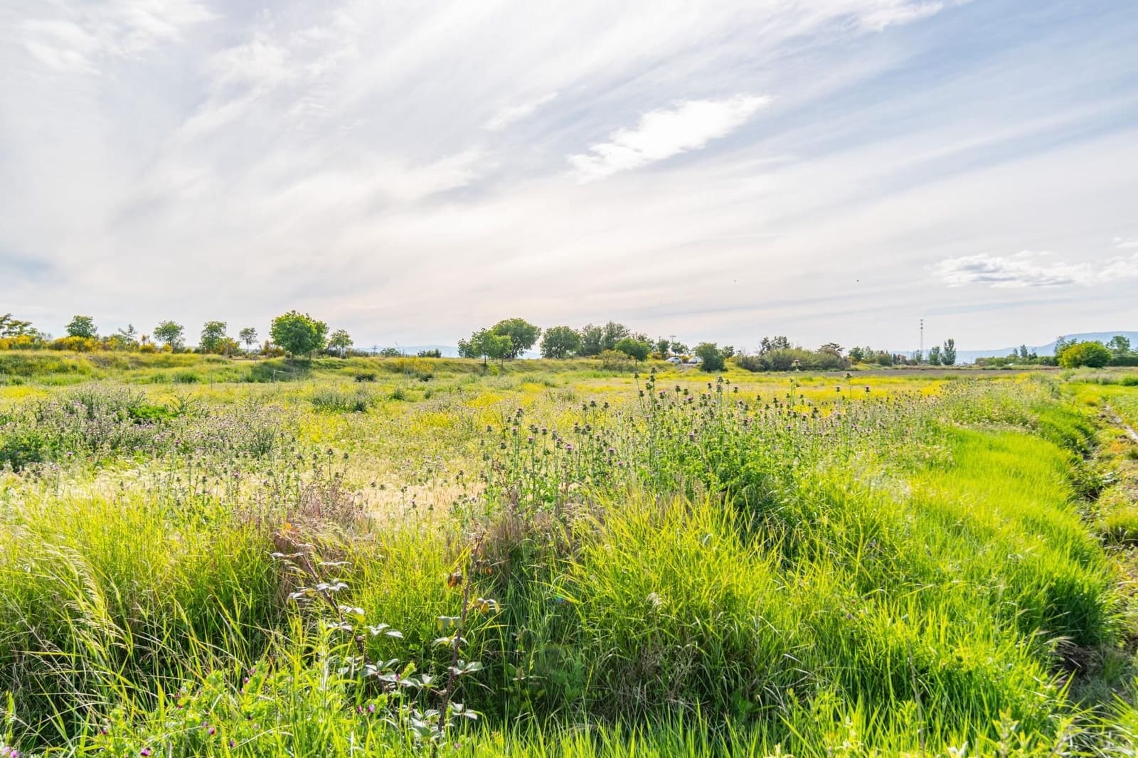 Finca/Casa Rural en Granada ciudad en venta - 76.500 € (Ref: 9534287)