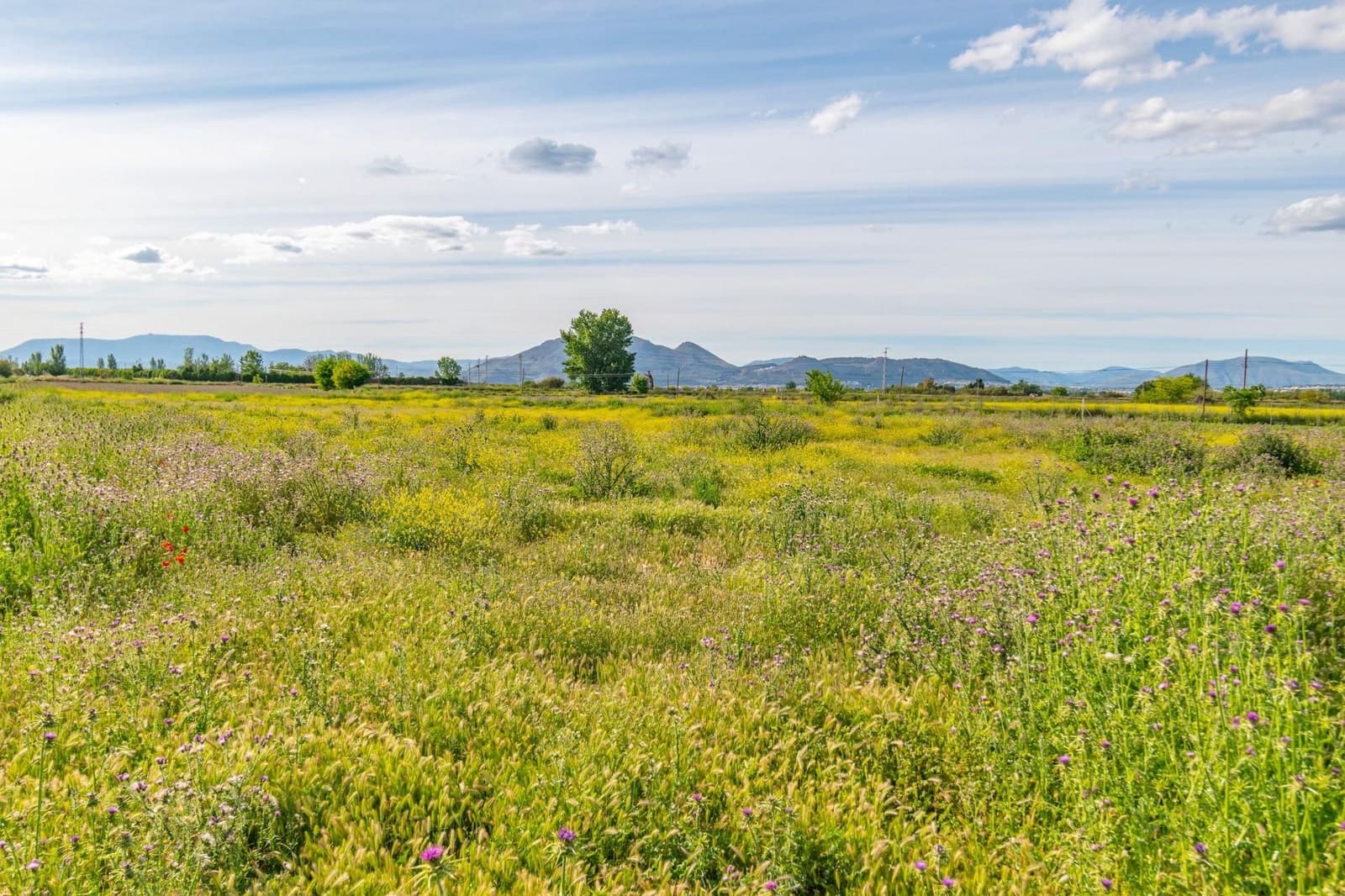 Finca/Casa Rural en Granada ciudad en venta - 76.500 € (Ref: 9534287)