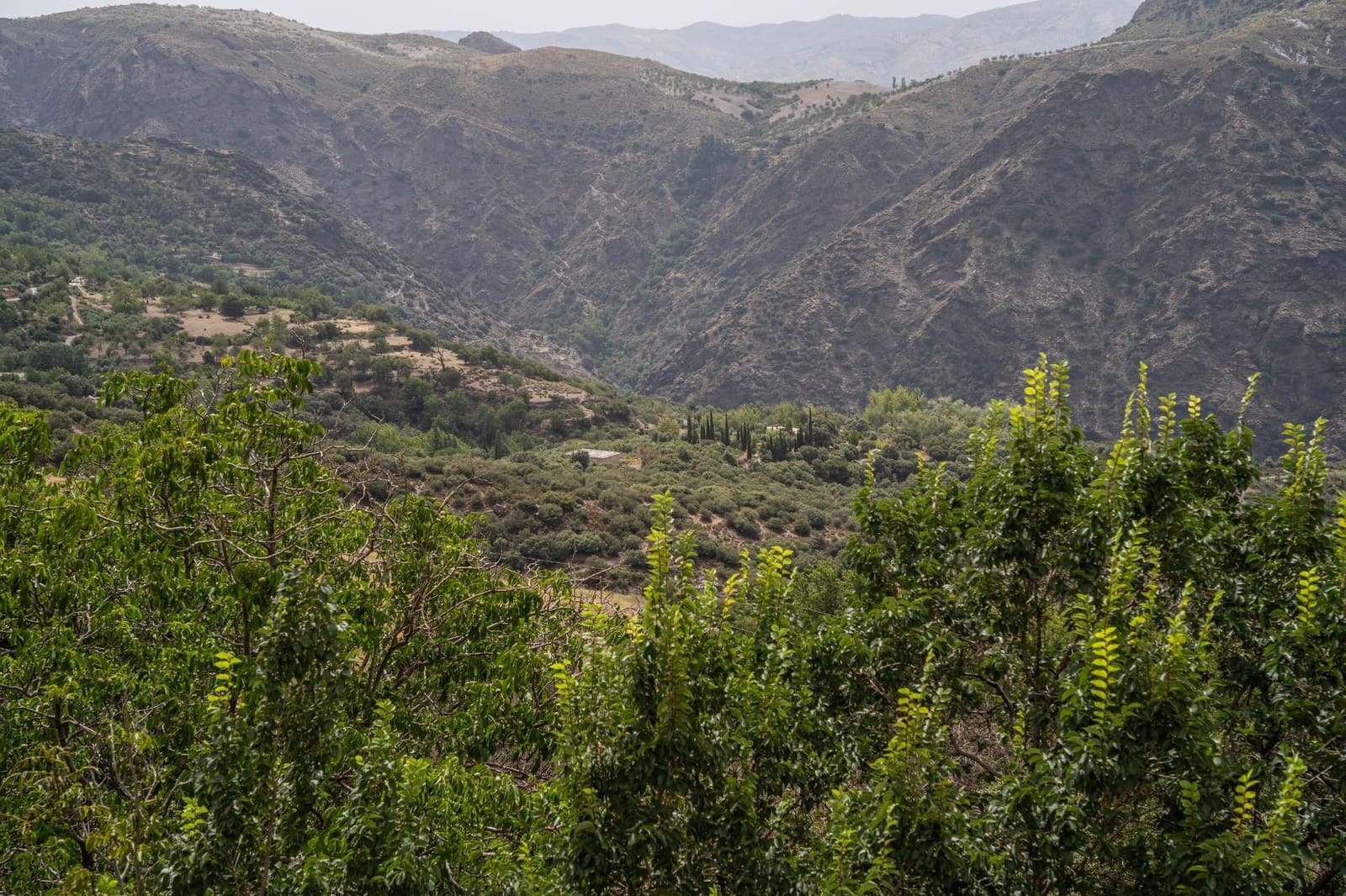 4 bedroom Finca/Country House for sale in La Taha - € 123,000 (Ref: 9534288)