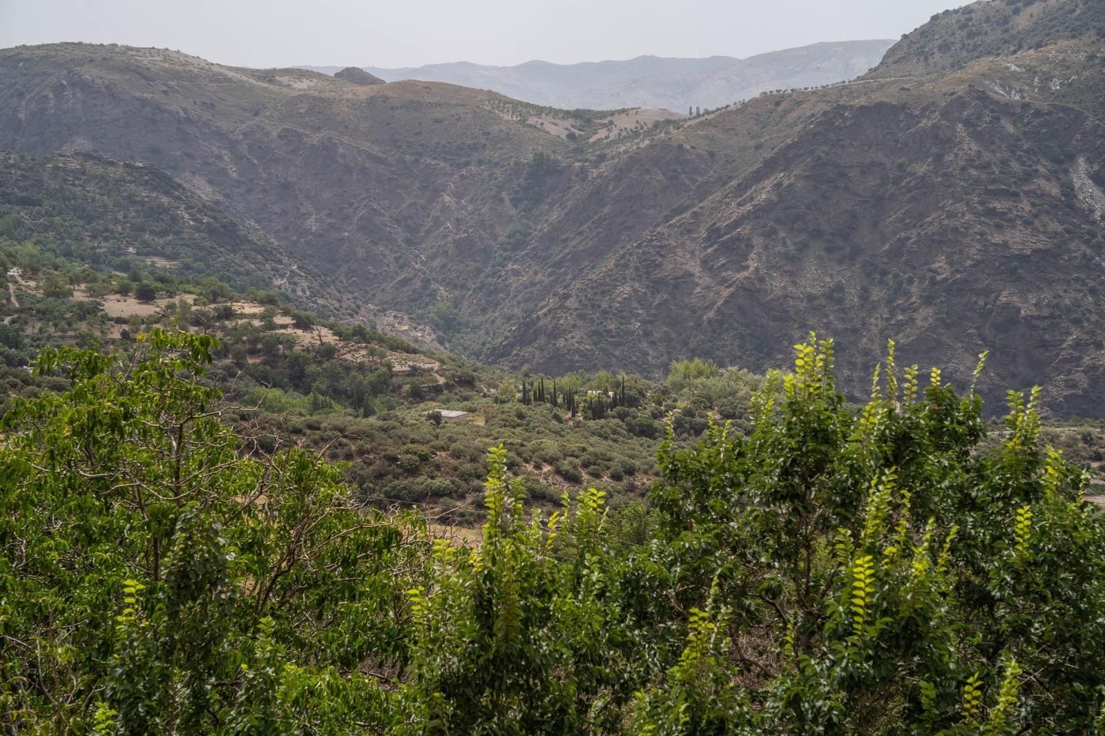 4 bedroom Finca/Country House for sale in La Taha - € 123,000 (Ref: 9534288)