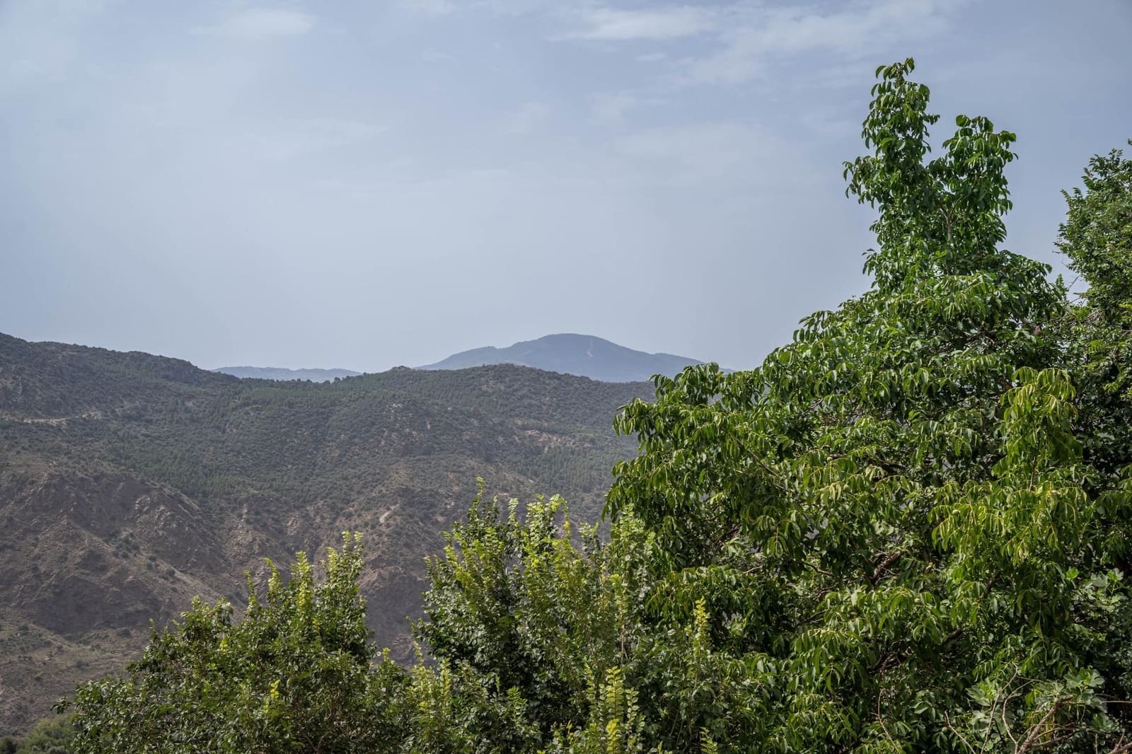 4 bedroom Finca/Country House for sale in La Taha - € 123,000 (Ref: 9534288)