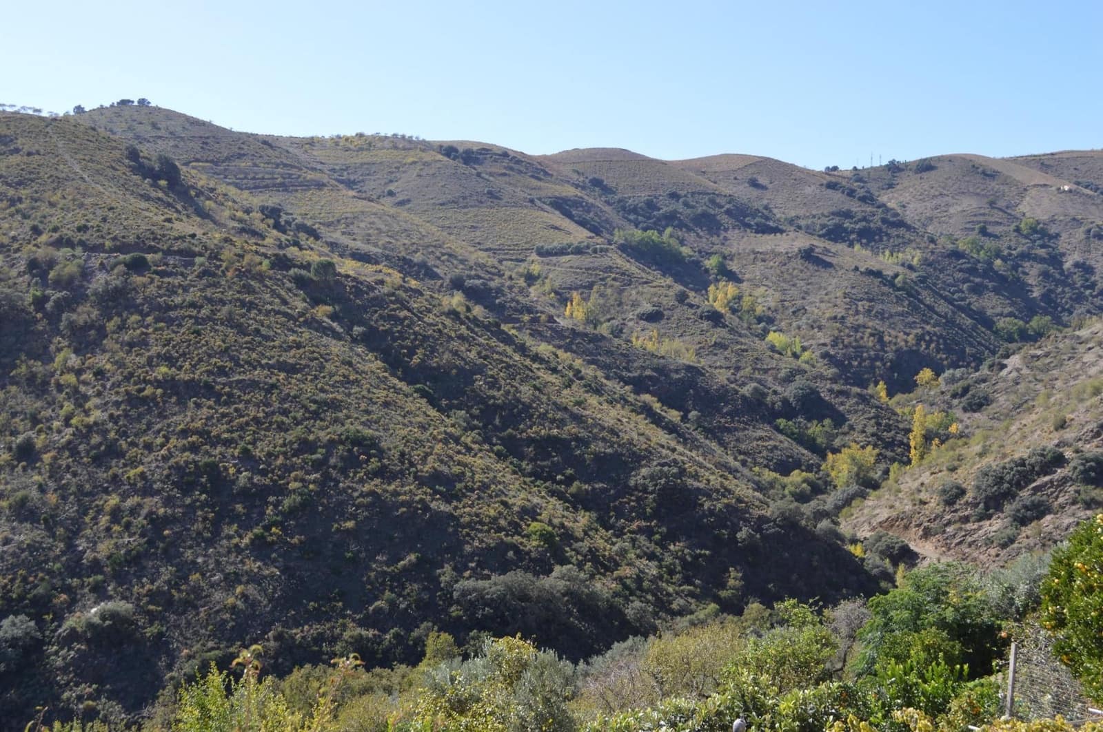 2 sypialnia Mieszkanie na sprzedaż w Sorvilan - 49 900 € (Ref: 9534295)