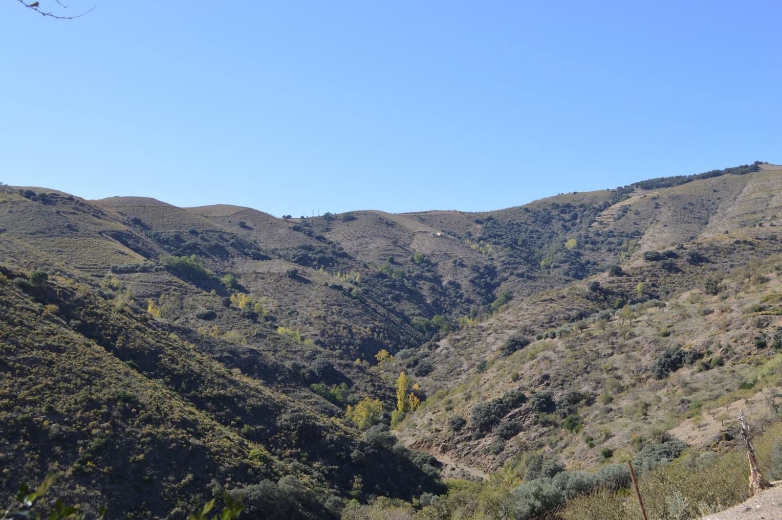 2 sypialnia Mieszkanie na sprzedaż w Sorvilan - 49 900 € (Ref: 9534295)