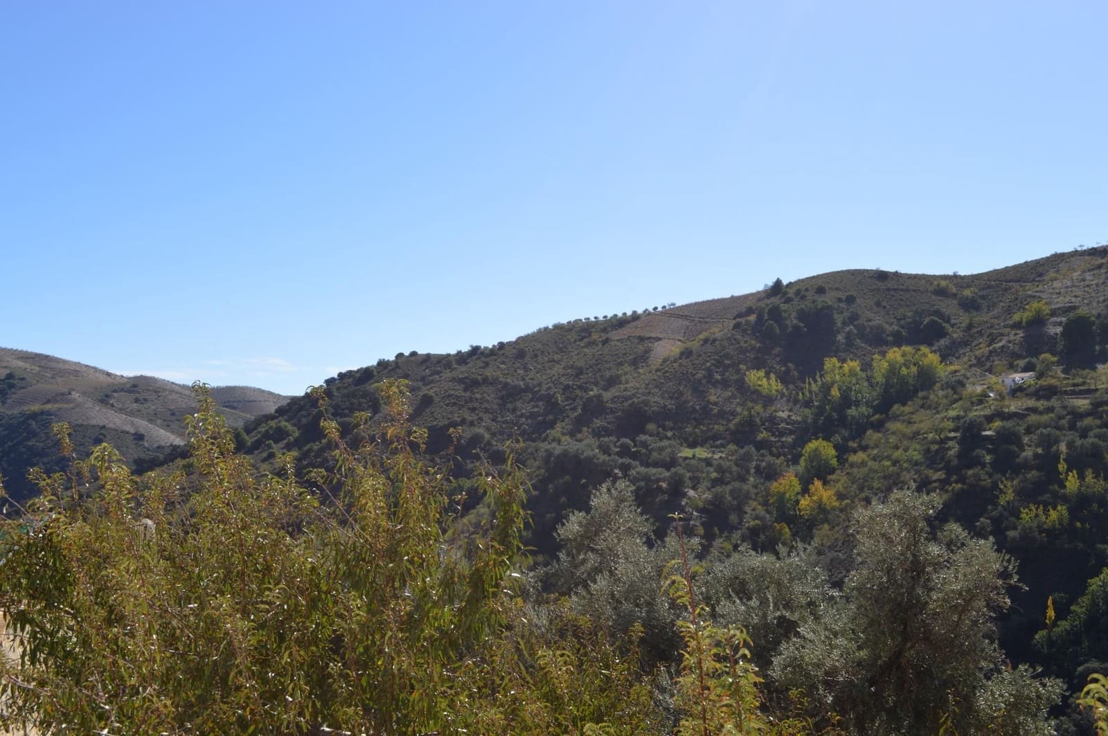 2 sypialnia Mieszkanie na sprzedaż w Sorvilan - 49 900 € (Ref: 9534295)