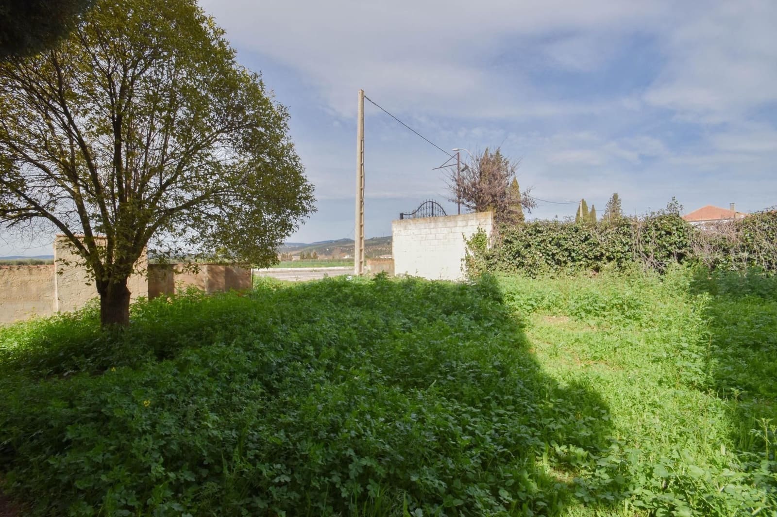 10 sovrum Finca/Hus på landet till salu i Illora - 189 900 € (Ref: 9534296)