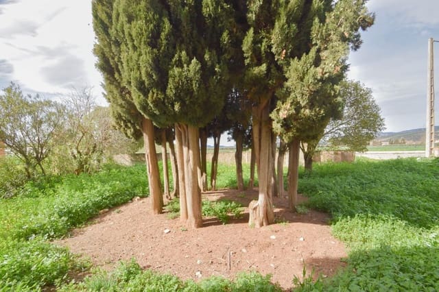 10 bedroom Finca/Country House for sale in Illora - € 189,900 (Ref: 9534296)