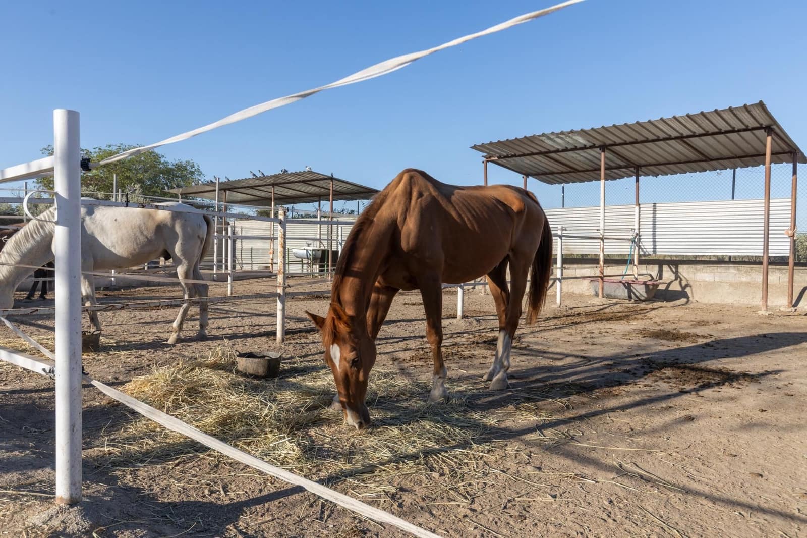 1 soveværelse Finca/Landehus til salg i La Zubia - € 674.900 (Ref: 9534301)