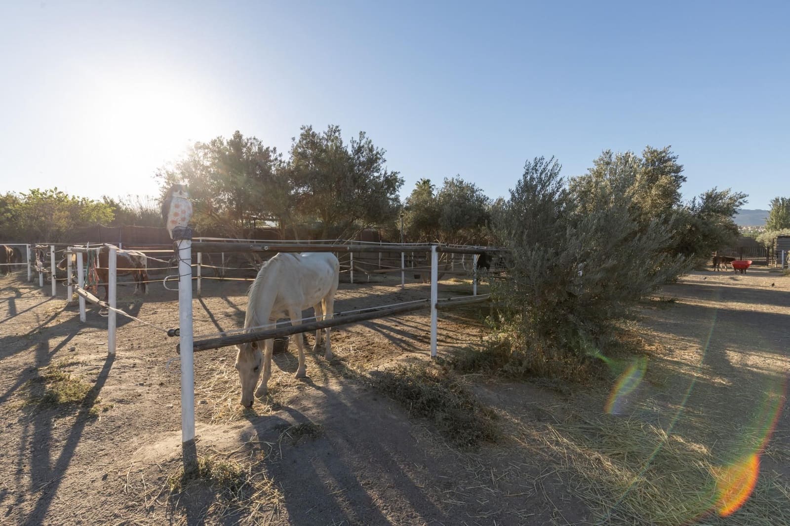 1 soveværelse Finca/Landehus til salg i La Zubia - € 674.900 (Ref: 9534301)