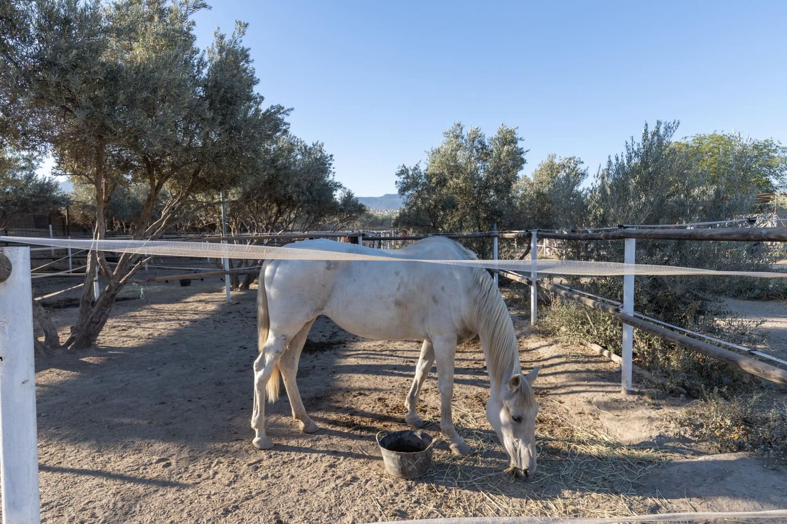 1 soveværelse Finca/Landehus til salg i La Zubia - € 674.900 (Ref: 9534301)