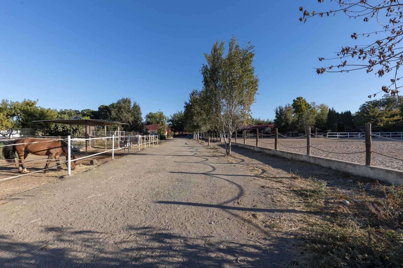 1 soveværelse Finca/Landehus til salg i La Zubia - € 674.900 (Ref: 9534301)