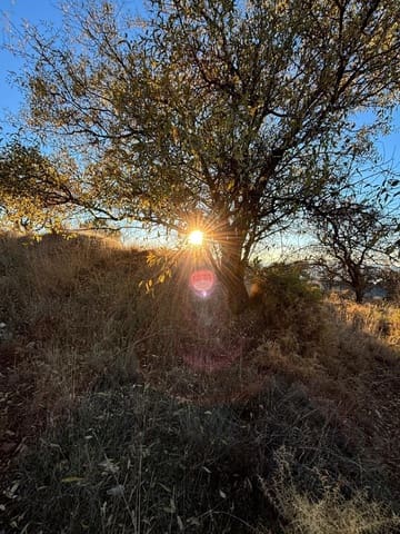 Terrain à Bâtir à vendre à Gójar - 33 000 € (Ref: 9534308)