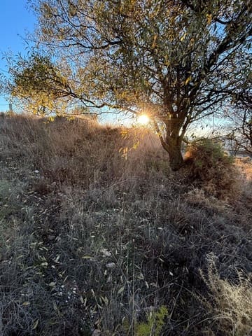 Terrain à Bâtir à vendre à Gójar - 33 000 € (Ref: 9534308)