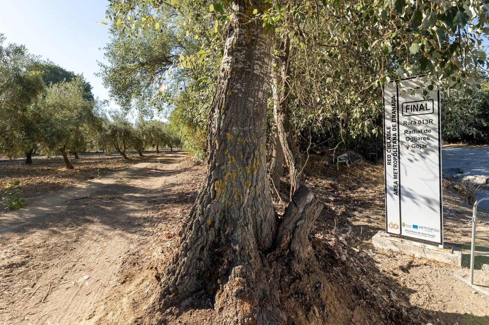 Finca/Herregård til salgs i Gojar - € 295 000 (Ref: 9534310)