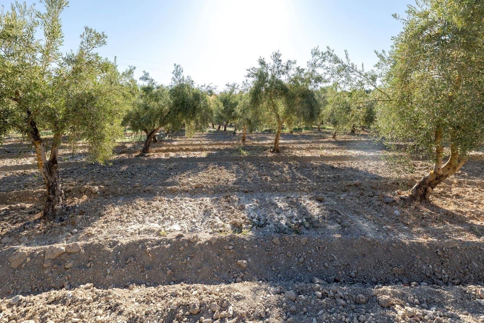 Finca/Herregård til salgs i Gojar - € 295 000 (Ref: 9534310)