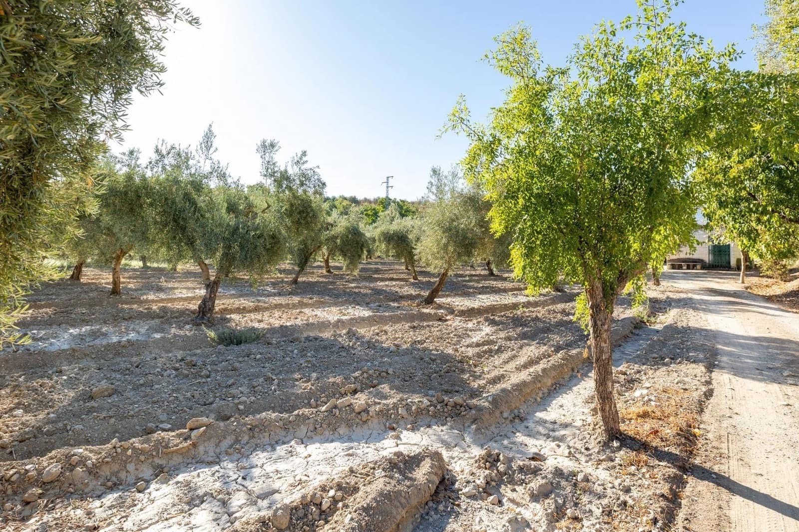 Finca/Herregård til salgs i Gojar - € 295 000 (Ref: 9534310)