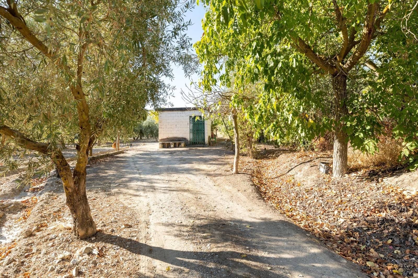 Finca/Herregård til salgs i Gojar - € 295 000 (Ref: 9534310)