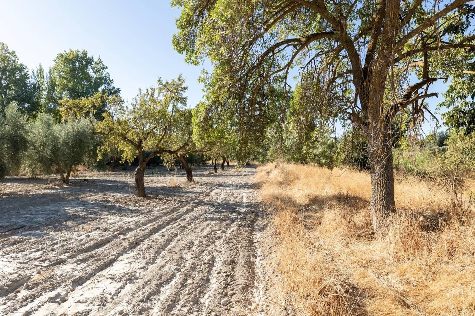 Finca/Herregård til salgs i Gojar - € 295 000 (Ref: 9534310)