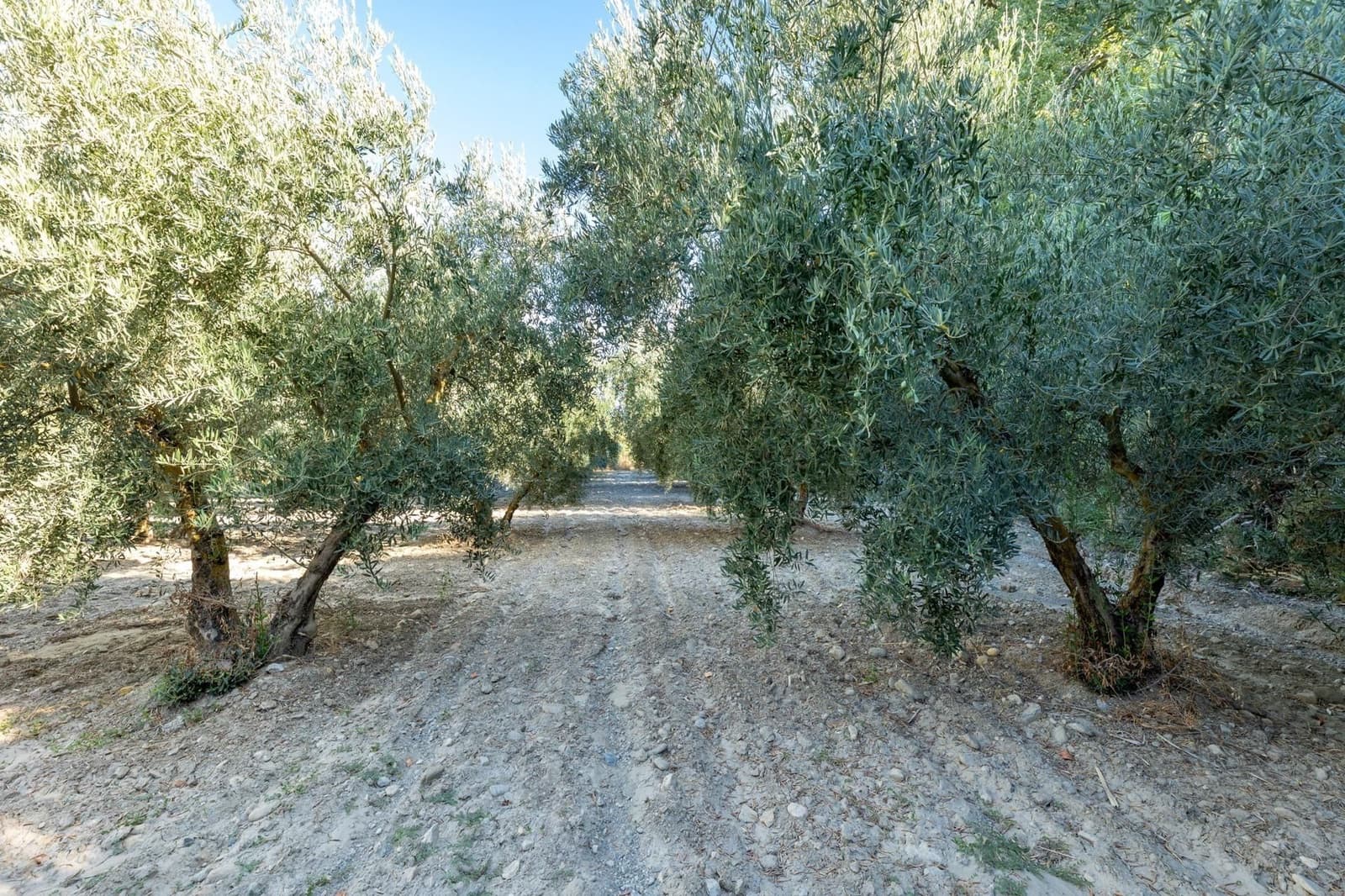 Finca/Herregård til salgs i Gojar - € 295 000 (Ref: 9534310)