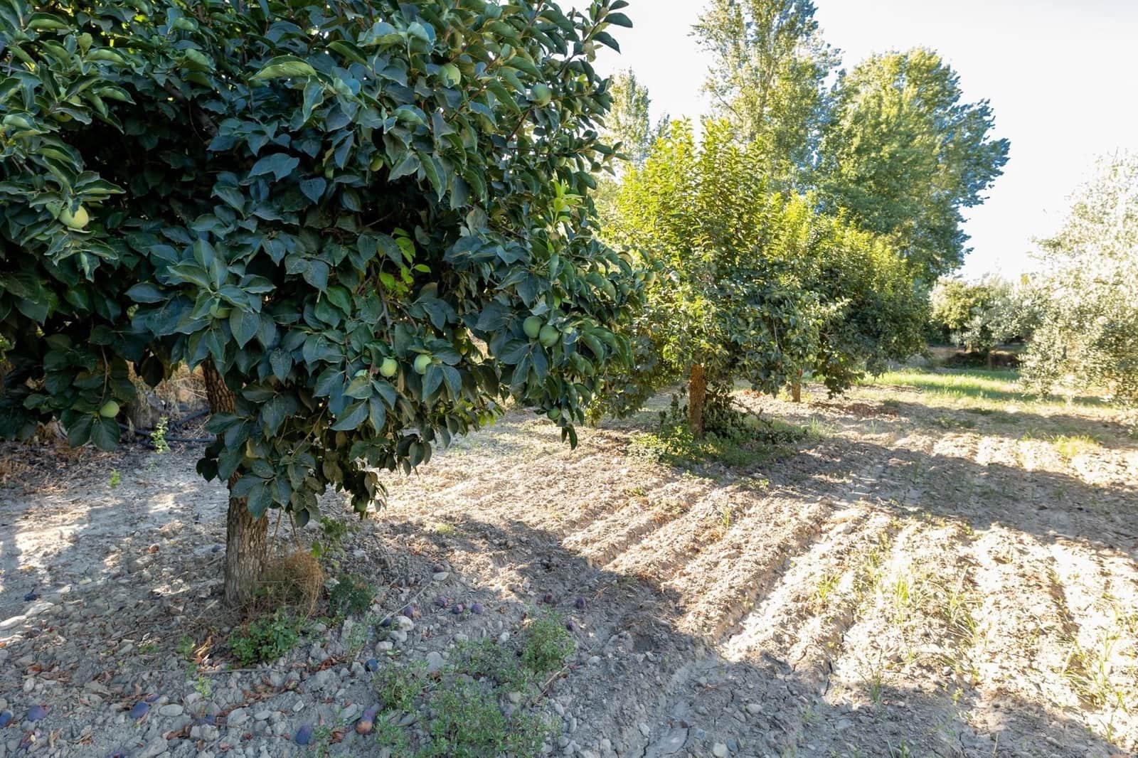 Finca/Herregård til salgs i Gojar - € 295 000 (Ref: 9534310)