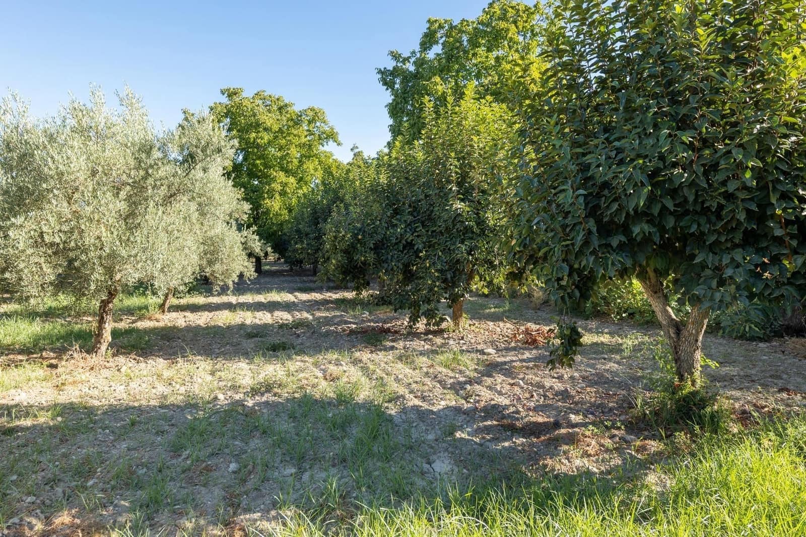 Finca/Herregård til salgs i Gojar - € 295 000 (Ref: 9534310)