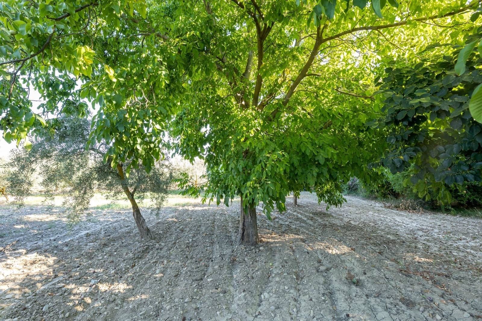 Finca/Herregård til salgs i Gojar - € 295 000 (Ref: 9534310)