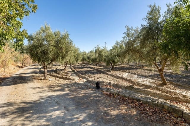 Finca/Herregård til salgs i Gójar - € 295 000 (Ref: 9534310)